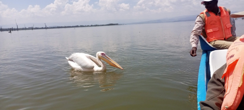 Kenya: 10days loita hills trek